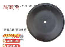 點(diǎn)擊查看詳細(xì)信息<br>標(biāo)題：氣動(dòng)隔膜泵配件-隔膜片 閱讀次數(shù)：208