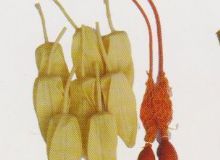 點(diǎn)擊查看詳細(xì)信息<br>標(biāo)題：取氣樣球膽 閱讀次數(shù)：116